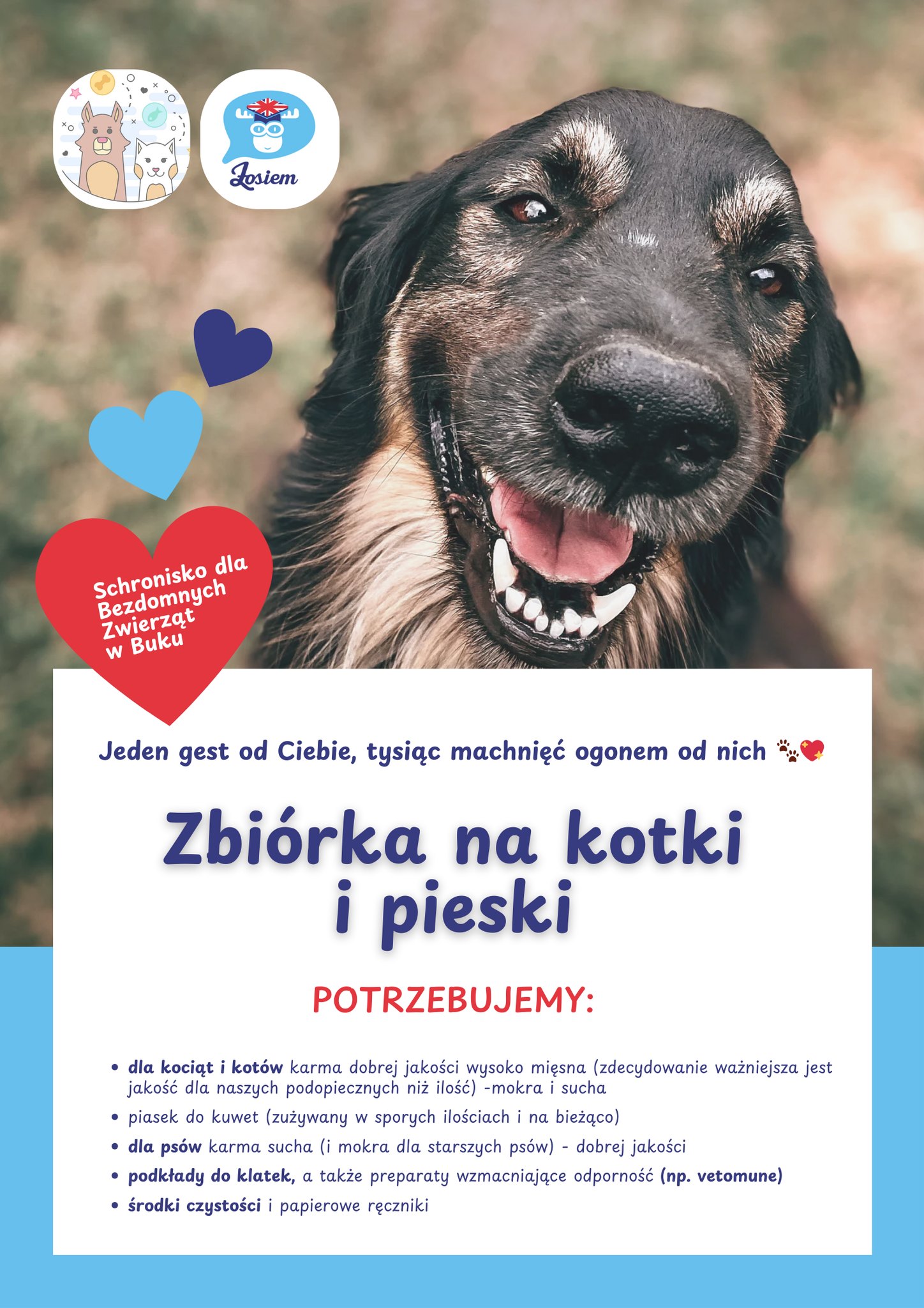 481078690 1171393291440541 4647363986534910025 n